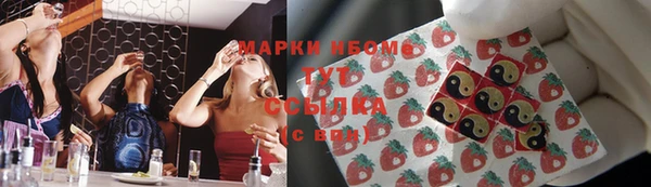 амф Надым