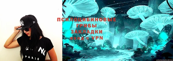 амф Надым